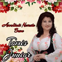 Tomis Junior — Hora Noastra-I Veche — обложка